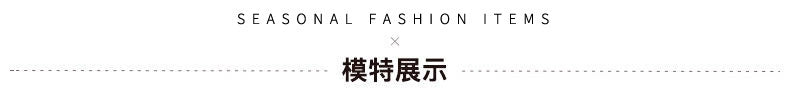 This Year's Popular Canvas Small Bag 2024 New Arrival Women's Bag Fancy Western Style All-Matching Messenger Bag Shoulder Dumpling Bag