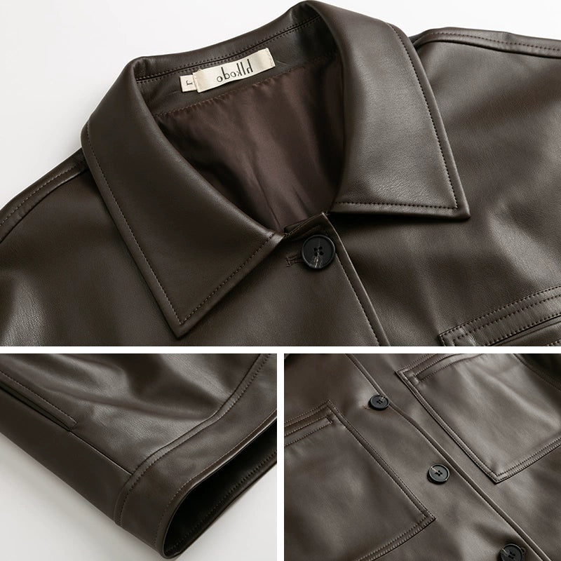 Korean Style Lapel Jacket Young Spring and Autumn New Leather Coat