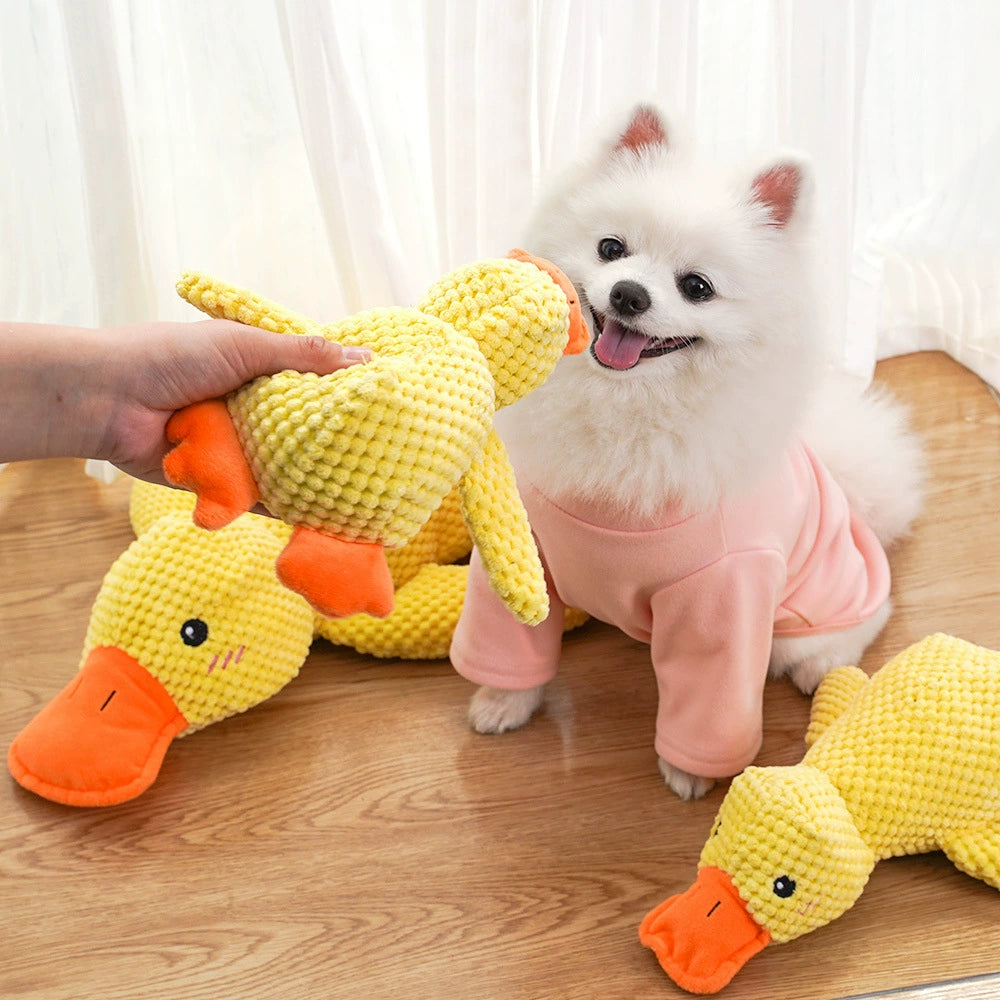 Relieving Boredom to Sleep with Yellow Duck Bichon Corgi Self-Hi Dog